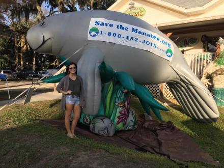 12400444_1131542400189372_3034166986935663305_n