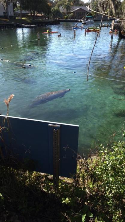 12549112_1131542786856000_199004142586188578_n