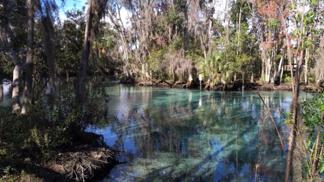 12565609_1131542820189330_6324556924812364155_n